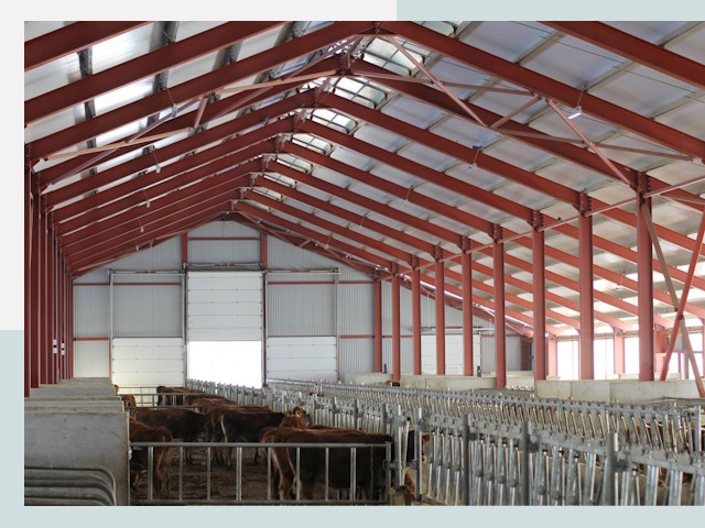 Строительство коровников в Дальнегорске