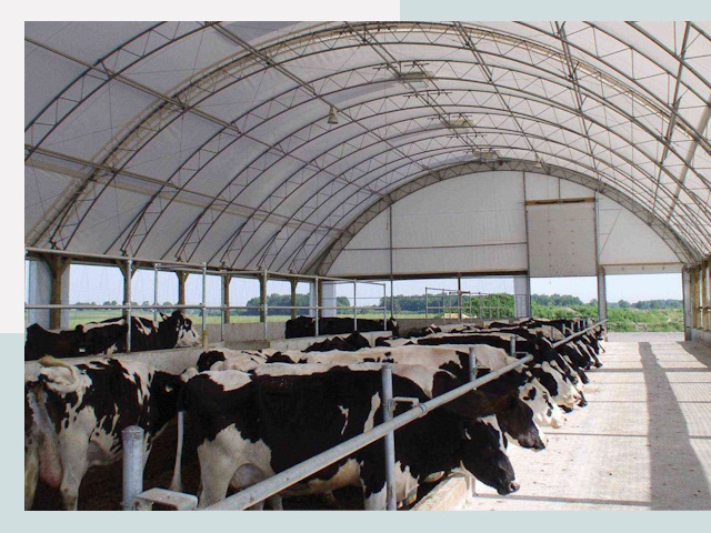 Тентовые коровники в Дальнегорске